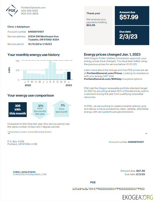 Usa Pge utility bill word and pdf template